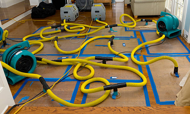 Professional Crawl Space Water Removal technician working in Cornish, UT